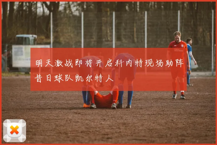 明天激战即将开启科内特现场助阵昔日球队凯尔特人
