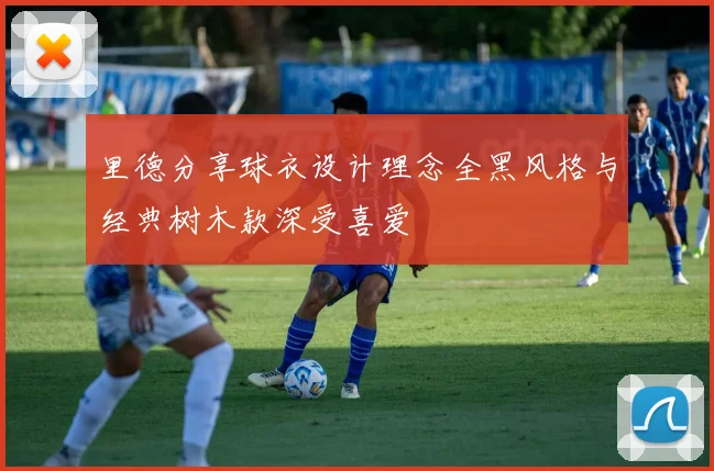 里德分享球衣设计理念全黑风格与经典树木款深受喜爱