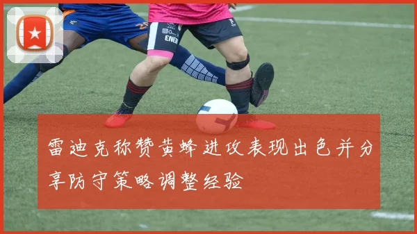 雷迪克称赞黄蜂进攻表现出色并分享防守策略调整经验